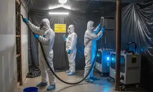 Mold remediation service widget for water damage restoration in Elk Grove, CA